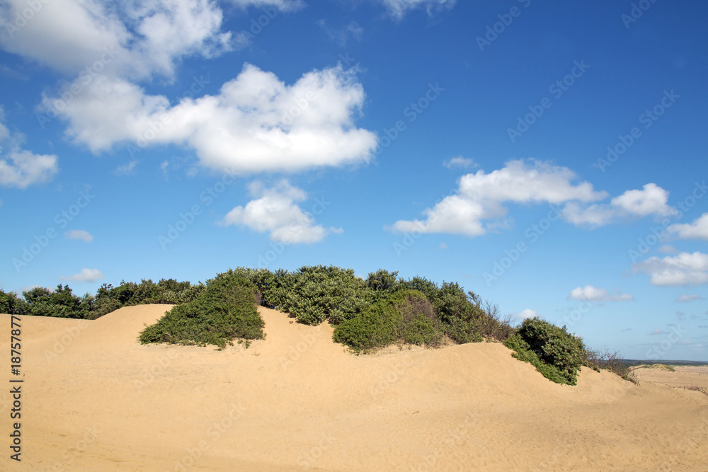 Mtunzini Beach Coastal Landscape in South Africa Mtunzini Beach Coastal Landscape in South Africa