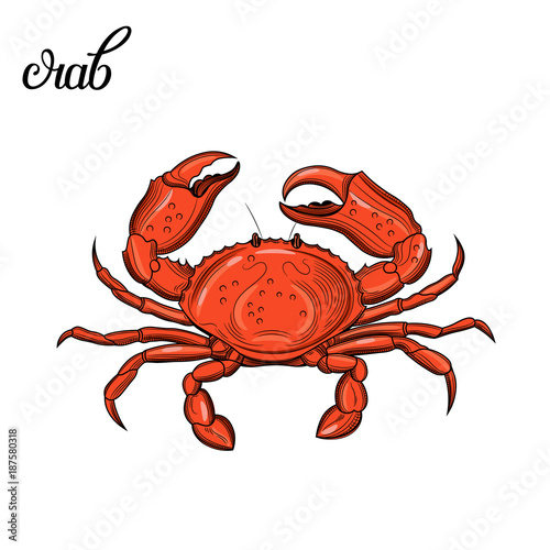Crab. Seafood. 