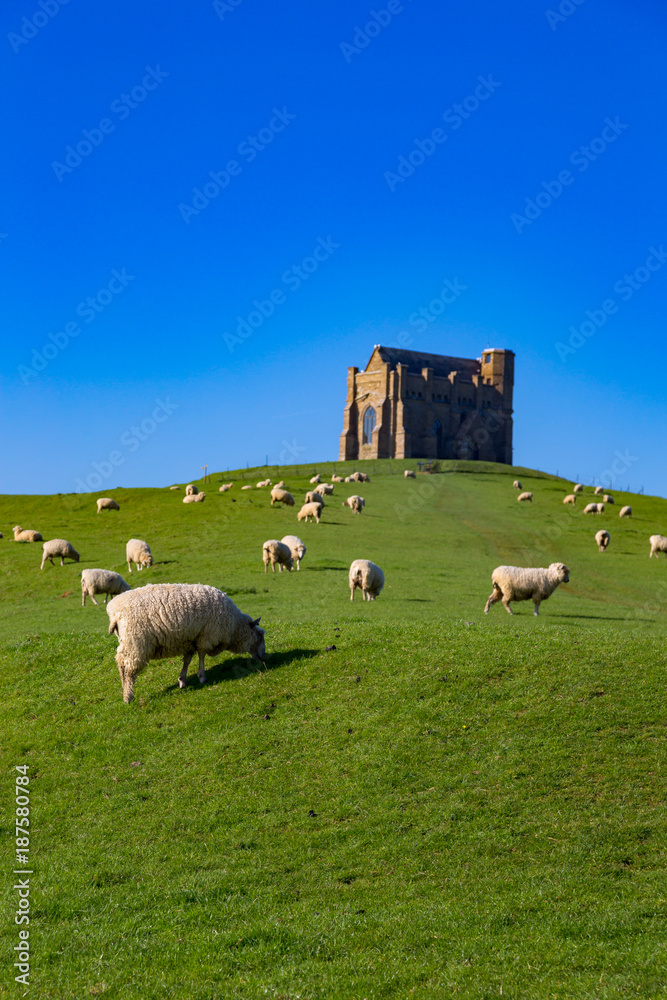 Fototapeta premium architecture