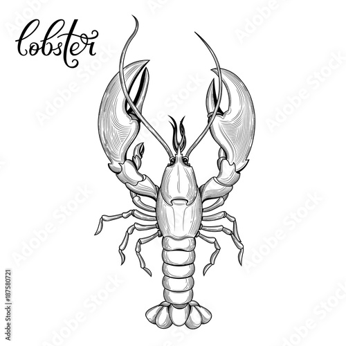 Lobster. Seafood.