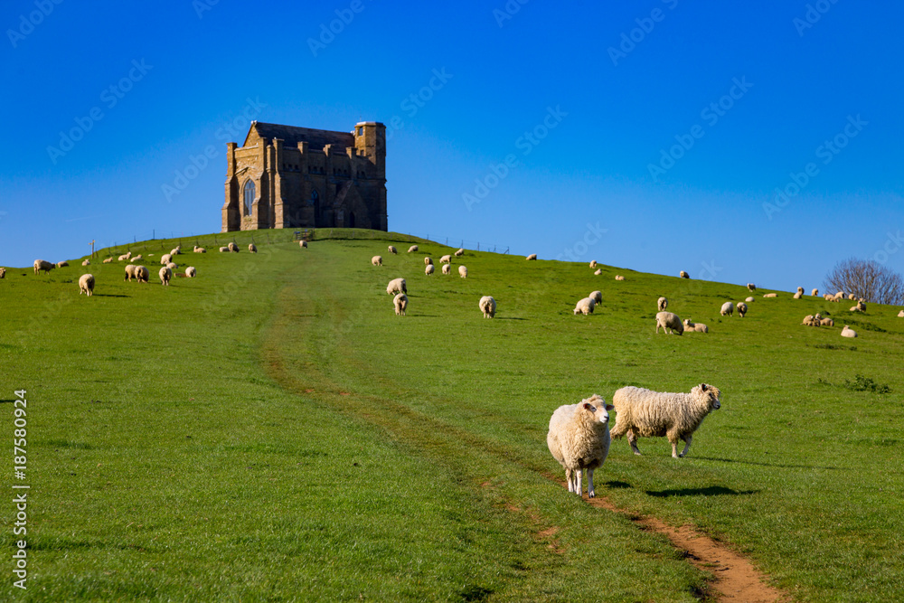 Fototapeta premium architecture