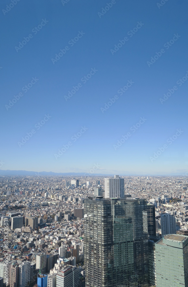 東京のビルと街並み-俯瞰