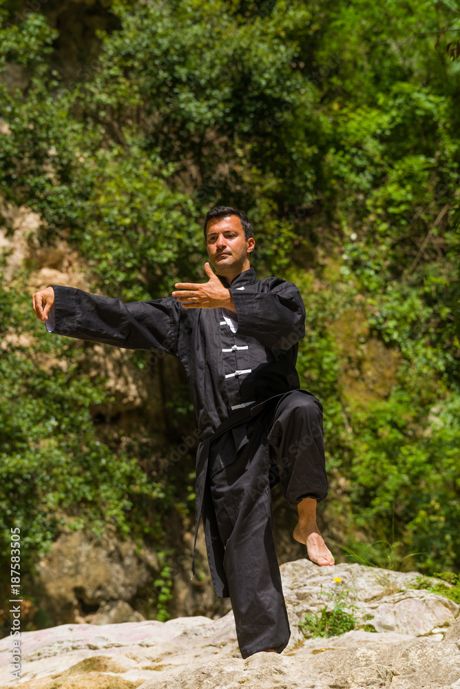 Adult man practicing Tai Chi