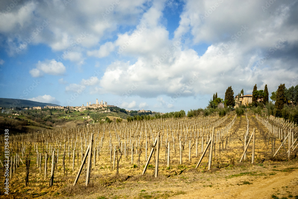 Obraz premium San Gimignano medieval town towers skyline and countryside landscape panorama. Tuscany, Italy, Europe.