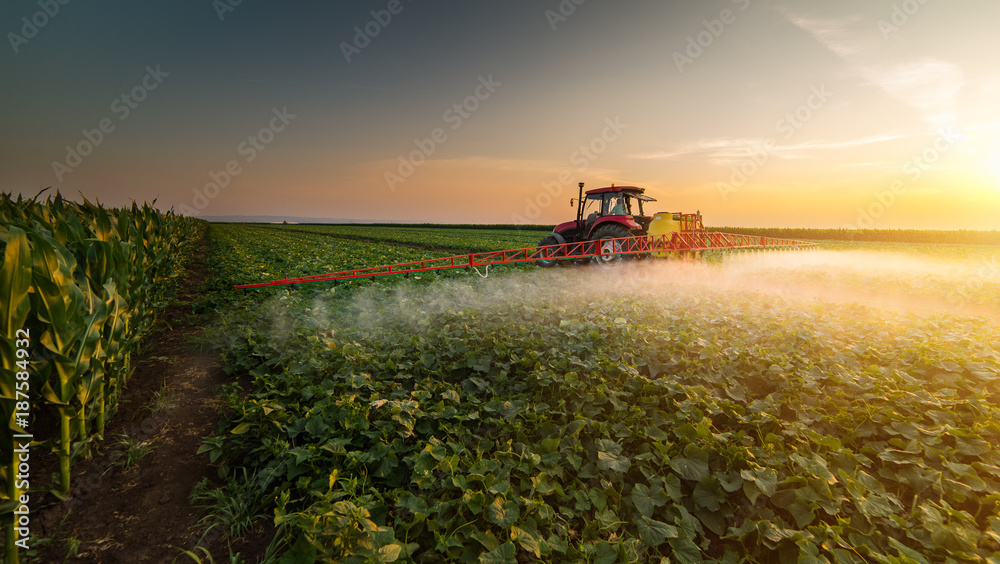 Tractor spraying pesticides on vegetable field with sprayer at spring - obrazy, fototapety, plakaty 