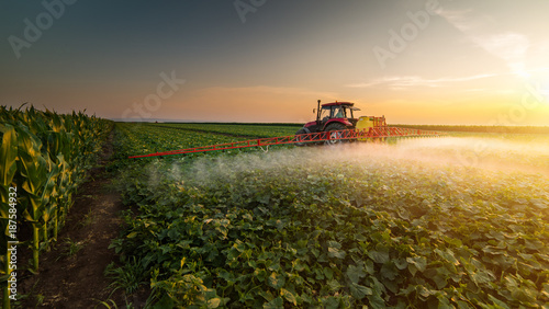 Tractor spraying pesticides on vegetable field with sprayer at spring photo
