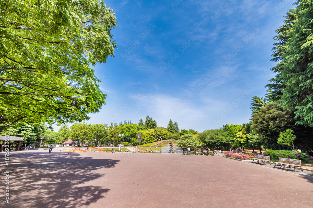 世田谷公園