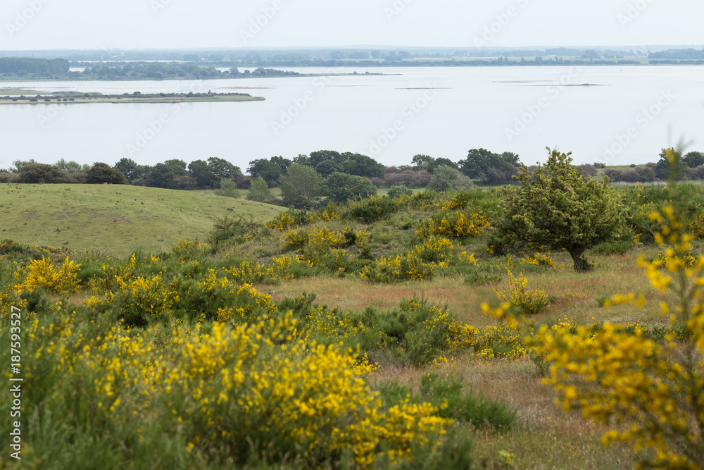 Fototapeta premium Ostseeküste