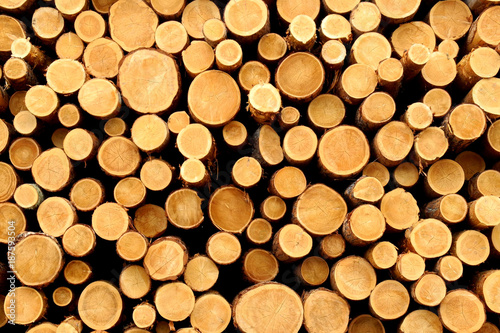 Pile of woods