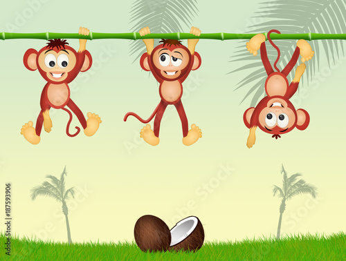 Fototapeta Naklejka Na Ścianę i Meble -  three monkeys on bamboo