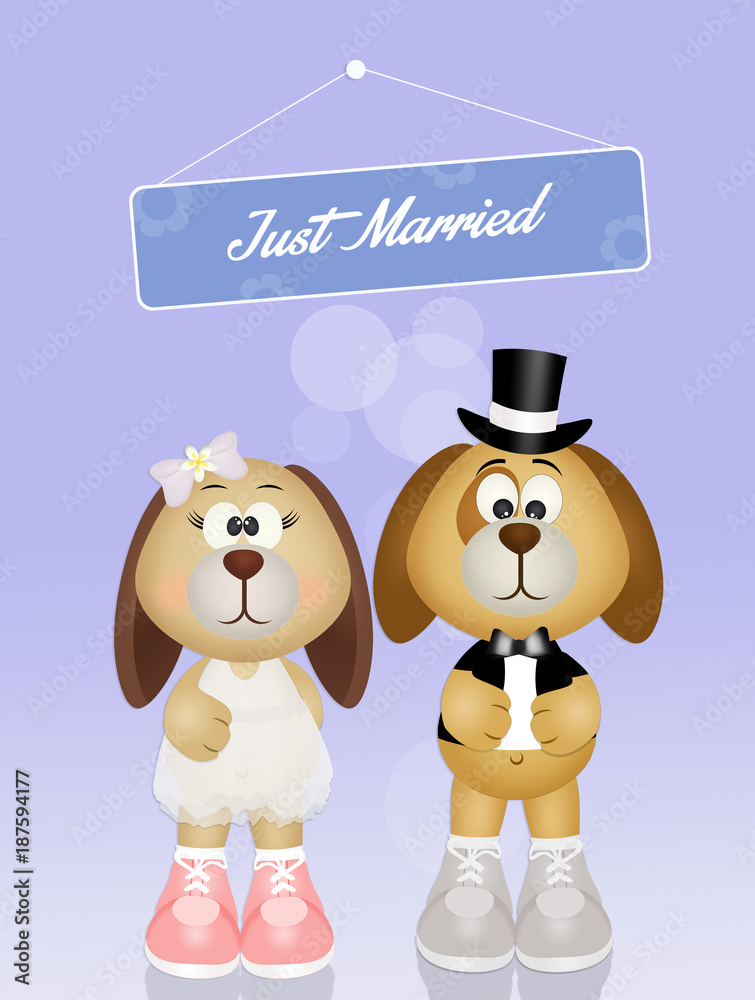 Wedding of dogs