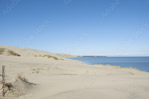 Billede på lærred landscape of the Curonian Spit