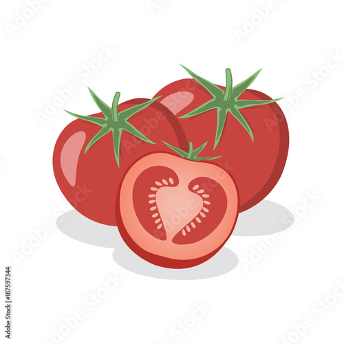 Tomatoes on a white background. Vector illustration.