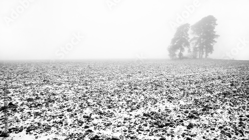 Field at winter with little snow at Jokioinen, Southern Finland.  photo