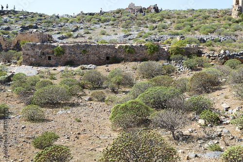 Green shrubs on stony ground with view of blue sky. photo