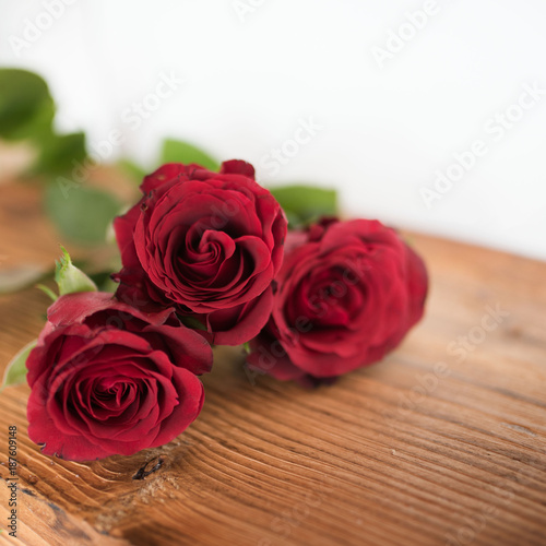 Red roses symbolic for valentines day