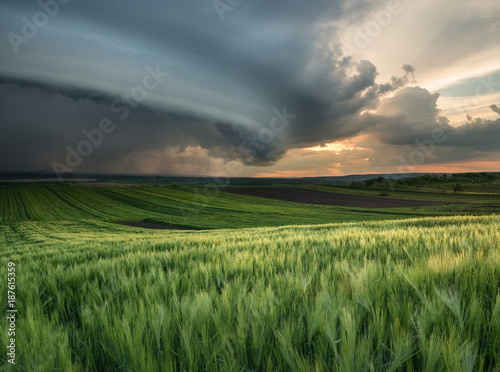 Fototapeta Naklejka Na Ścianę i Meble -  Cyclone on the field. Beautiful natural landscape in the summer time
