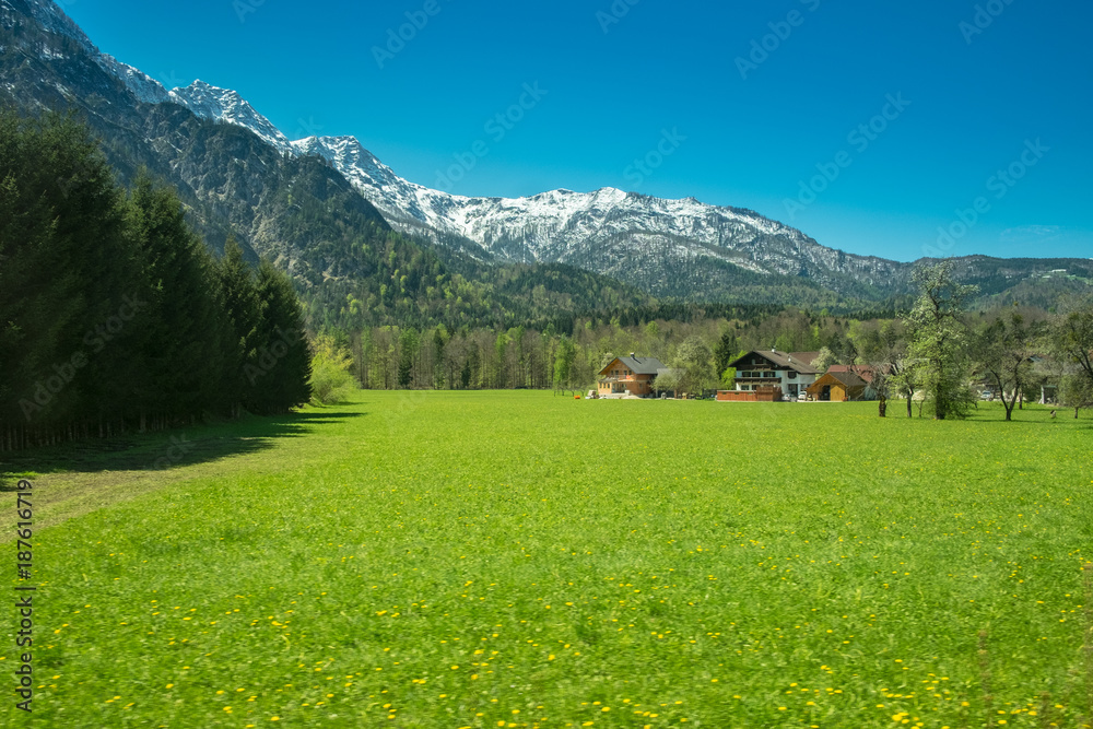 One wooden huts on a green meadow