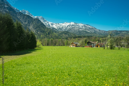 One wooden huts on a green meadow