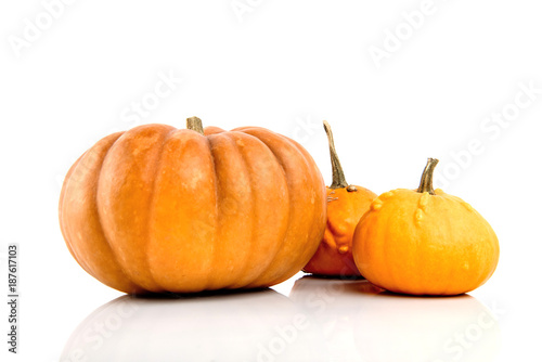 Three pumpkins isolated on white background.