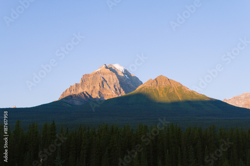 Green forest with big mountains in Banff near Lake Louise during sunrise