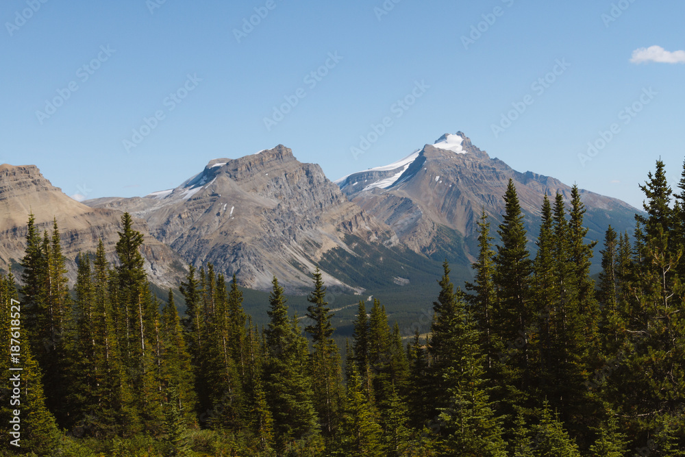 Scenic valley with river in Rocky Mountains in Canada on sunny day