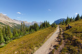 Beautiful hike trail in forest in Rocky Mountains in Canada on sunny day