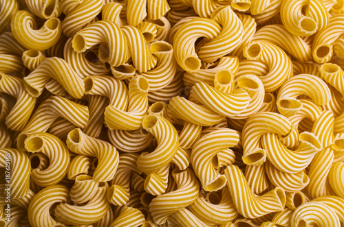 Traditional Italian pasta cavatappi