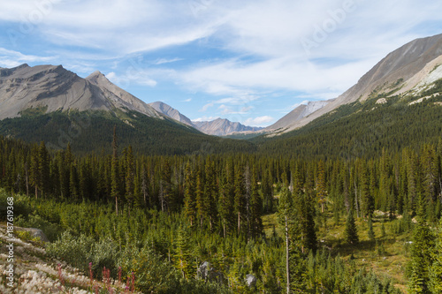 Beautiful hike trail above tree line in Rocky Mountains in Canada on sunny day © Martin Hossa