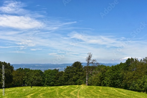 Freiburg im Breisgau - Schönberg Wanderweg photo