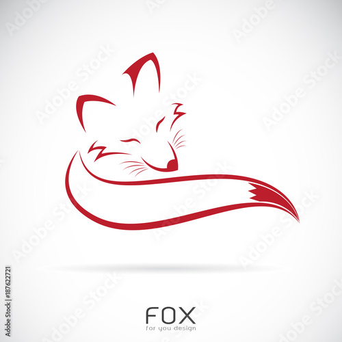 Obraz na plátně Vector of a red fox design on white background