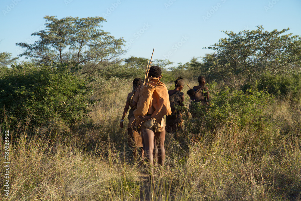 bushmen of the kalahari desert in africa