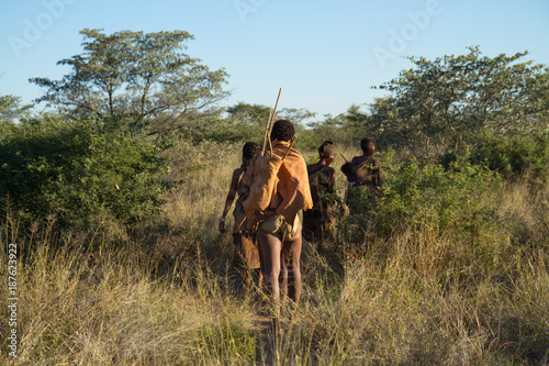 Obraz na płótnie bushmen of the kalahari desert in africa w salonie