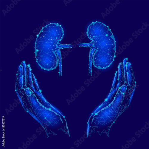World Kidney Day greeting card low poly design template. Health awareness promotional poster human internal organ banney polygonal point line kidneys in hands care holding vector illustration