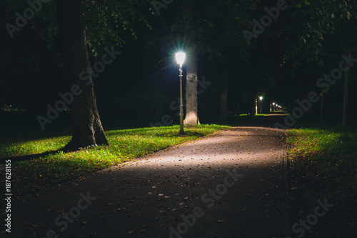 Night view of a dutch park and lightning lamp posts. photo