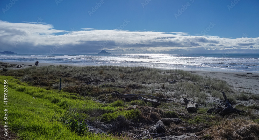 Seascape of North Island, New Zealand
