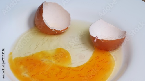 Salmonella enteritidis bacterial colonies and warms in infections eggs photo