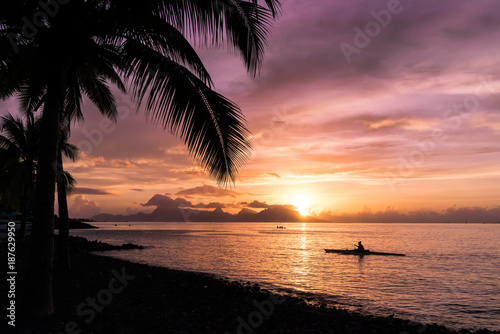 A person navigates the ocean in a canoe under a sunset in front of a palm tree