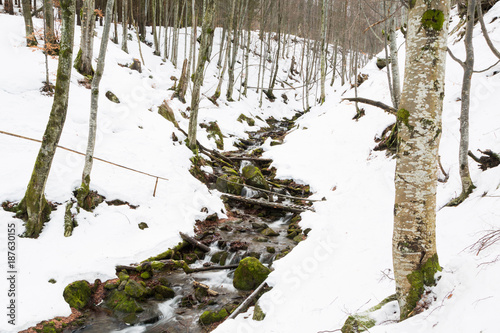 Stream in a mountain winter forest.