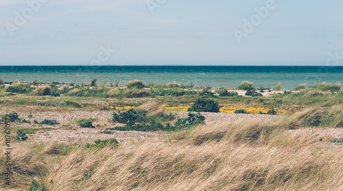 wilde  flache D  nen Landschaft  D  nenlandschaft auf Fehmarn  im Norden