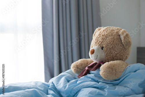 teddy bear in bed. Wake up in the morning.