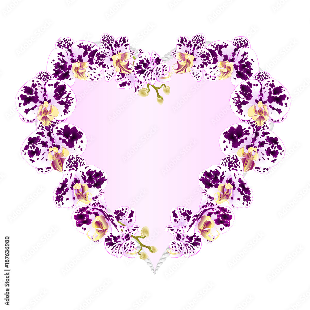 Frame Heart shaped orchids Phalaenopsis spotted purple and white  flowers tropical plants  vintage vector botanical illustration for design editable hand draw