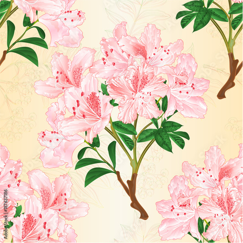 Seamless texture light pink rhododendron branch mountain shrub and rowanberry vintage vector illustration editable hand draw