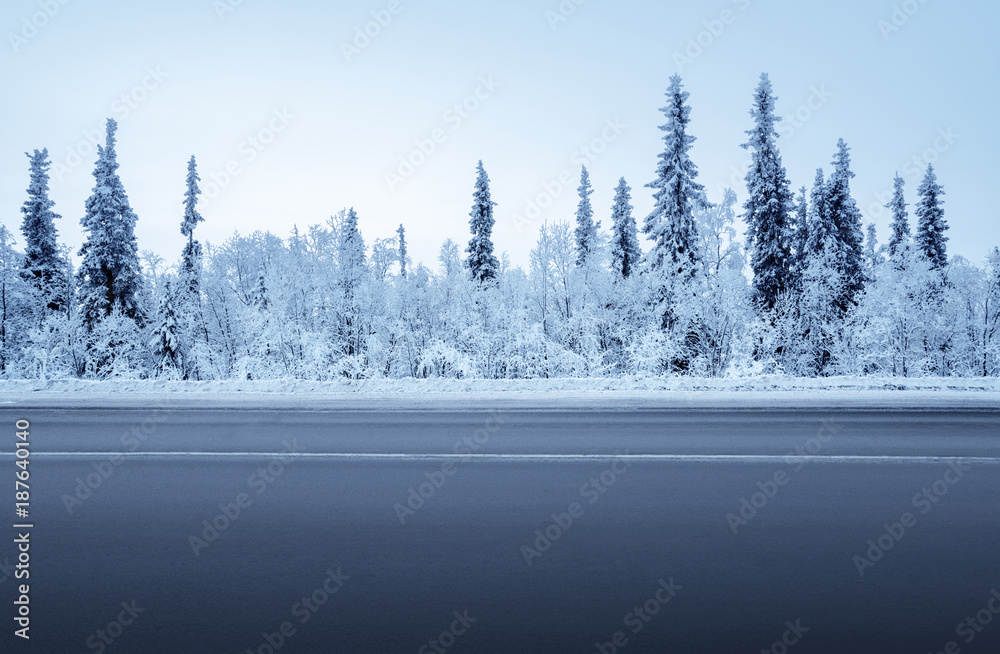 Naklejka premium droga w zimowym lesie