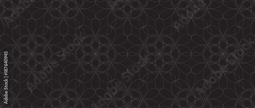 Seamless Black and White Pattern with Abstract Flowers Vector