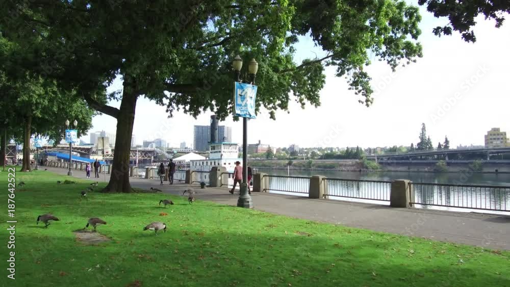 Steadicam walking through Portland, Oregon Waterfront Park, with Willamette River, people walking, boat, geese. ProRes file, shot in 4K UHD.