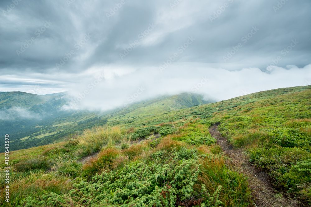 Fototapeta premium Landscape with green mountains in the clouds