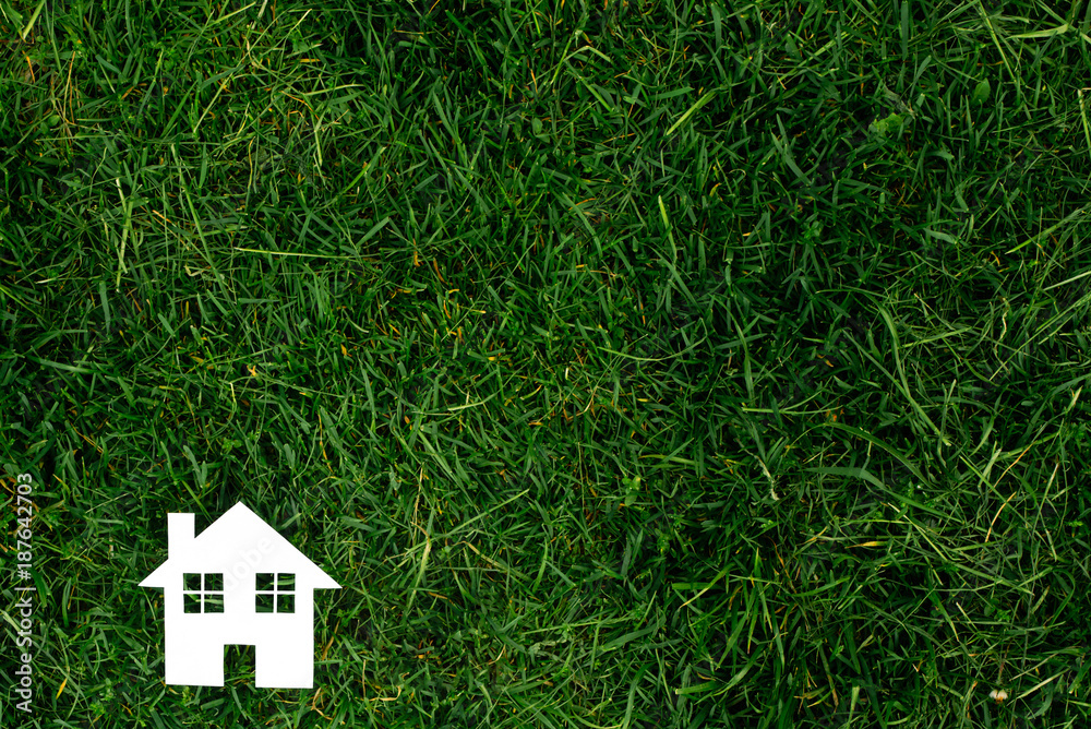 the house against the background of greens the house against the background of greens