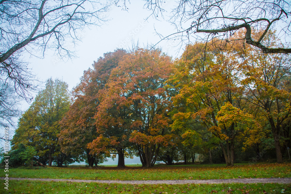 Naklejka premium Herbst am See