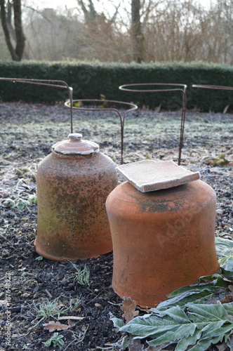 Rhubarb forcing pots